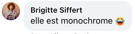 Capture d'écran du commentaire d'un internaute I Source : Facebook Paris Match