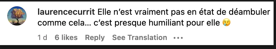 Commentaire d'un internaute sur l'apparition de Céline Dion à Riyad | Source : capture Instagram