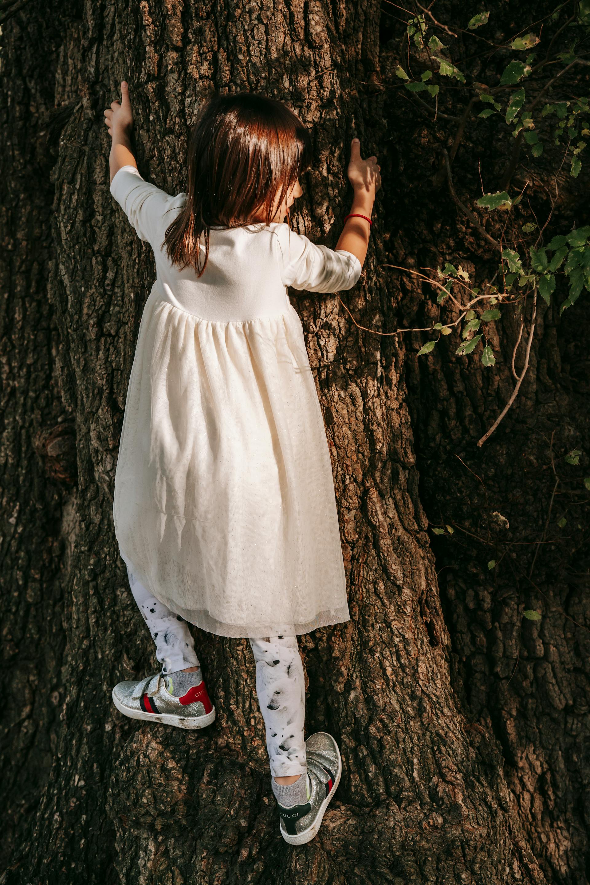 Une petite fille grimpant à un arbre | Source : Pexels