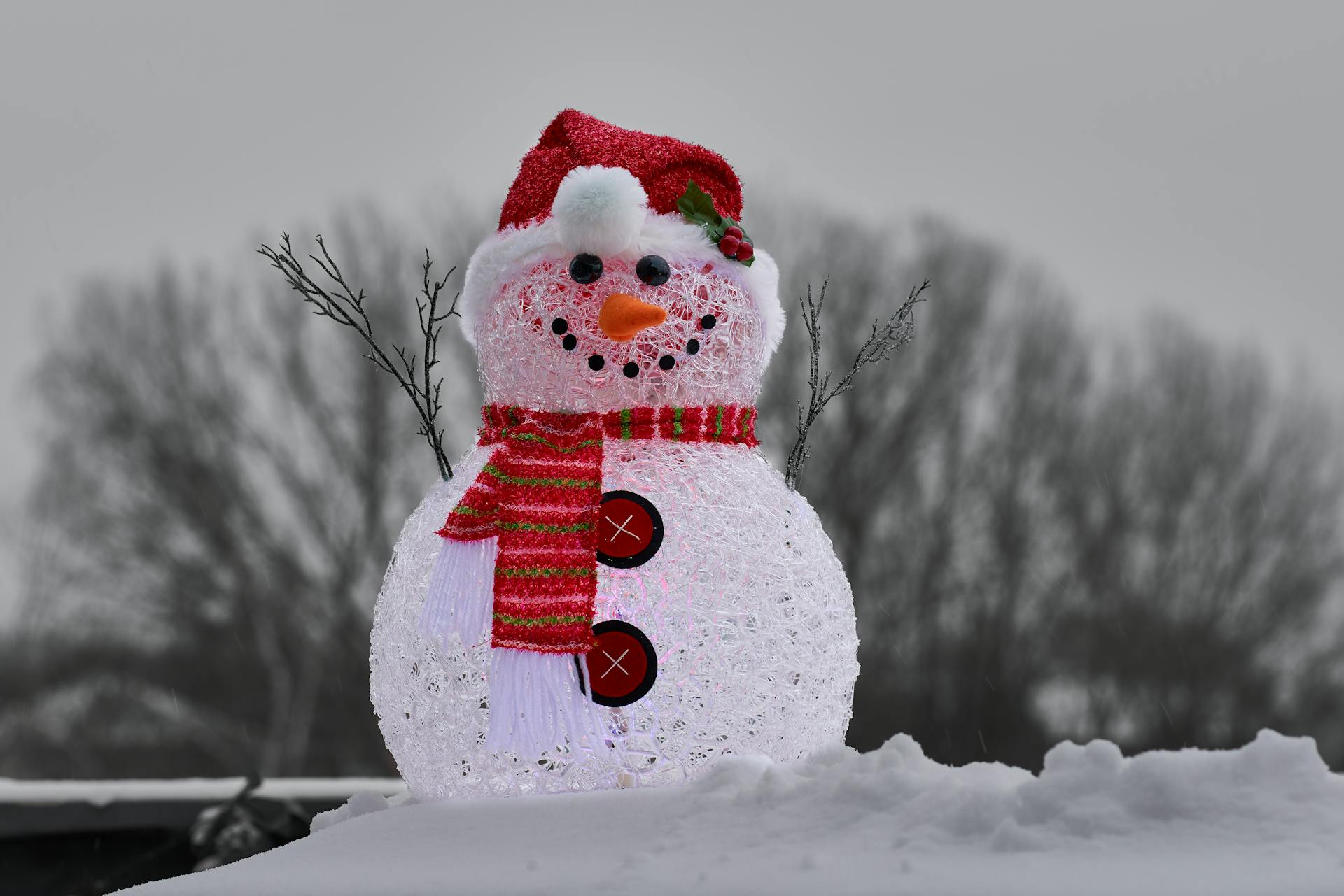 Un bonhomme de neige dans une cour | Source : Pexels