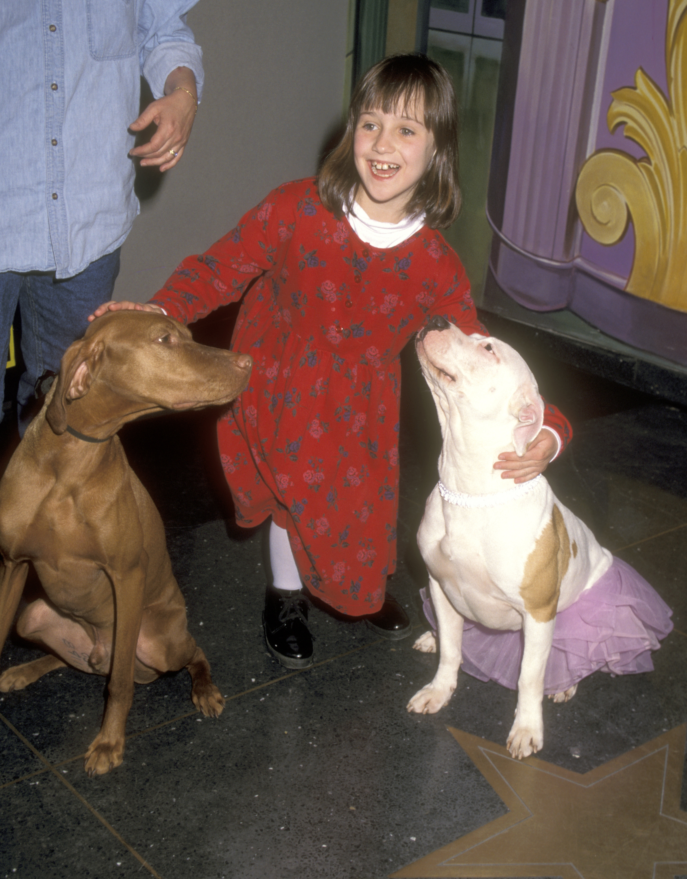 Mara Wilson assiste au festival du film familial M&amp;M's Candies Hollywood for Children au théâtre Sony IMAX le 8 avril 1996 à New York. | Source : Getty Images