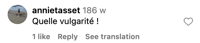 Commentaire d'internaute sur les tatouages de Louane | Source : capture instagram.com/watchoutforthetornado