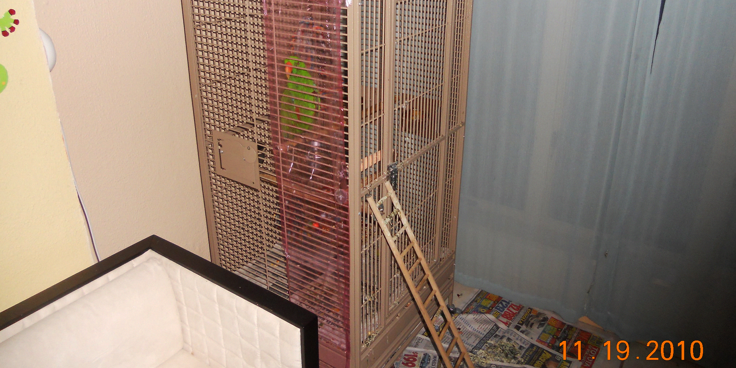 Un perroquet vert dans une cage | Source : Flickr