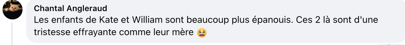 Commentaire d'internaute sur l'apparence du prince Jacques et de la princesse Gabriella | Source : capture facebook.com/purepeople