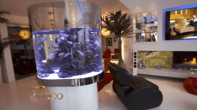 Coco Austin et l'aquarium Ice-T dans leur manoir. |  Photo : YouTube / Cocosworld