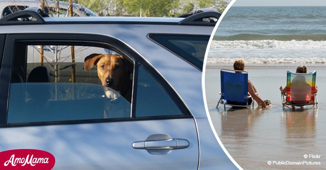 Biarritz: La police a trouvé un petit chien inconscient dans une voiture alors que les propriétaires se reposaient sur la plage