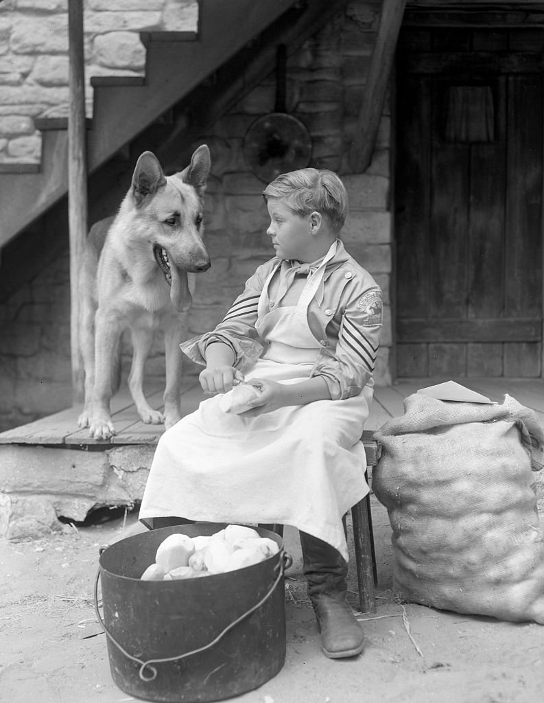 Les Aventures de Rin Tin Tin, épisode : Rin Tin Tin et la patrouille perdue Lee Aaker (en tant que Rusty). 1955-1956. 1er janvier 1955. | Photo : Getty Images