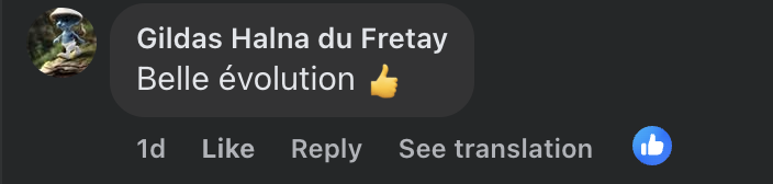 Capture d'écran du commentaire d'un internaute I Source : Facebook