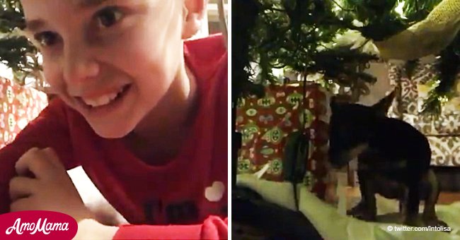 Un garçon tente de surprendre le père Noël en vidéo, mais son chien lui fait une surprise hilarante (Vidéo)