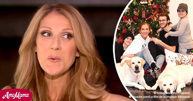 Céline Dion partage une belle photo de Noël avec ses trois fils et deux énormes chiens