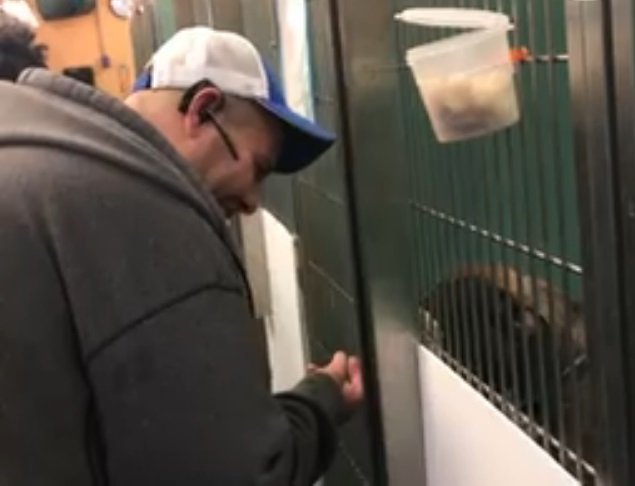 Robert Allison rencontre Blue au refuge pour animaux. | Photo : Facebook/Animal Care Center of NYC