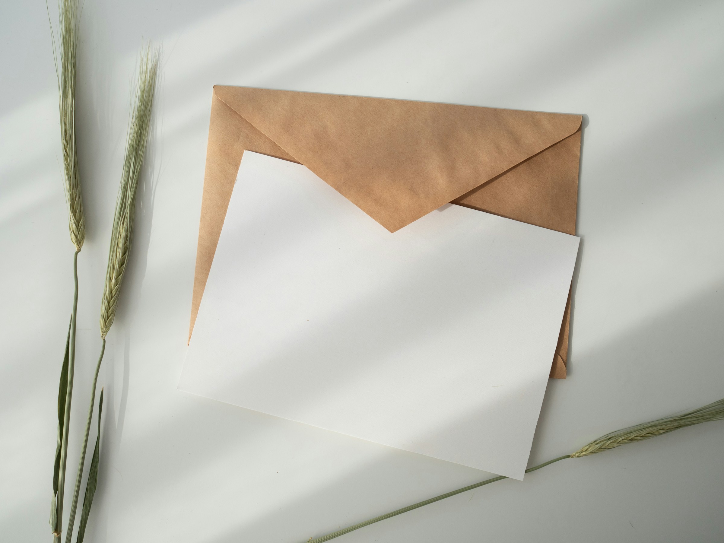 Enveloppe brune avec du papier blanc | Source : Unsplash