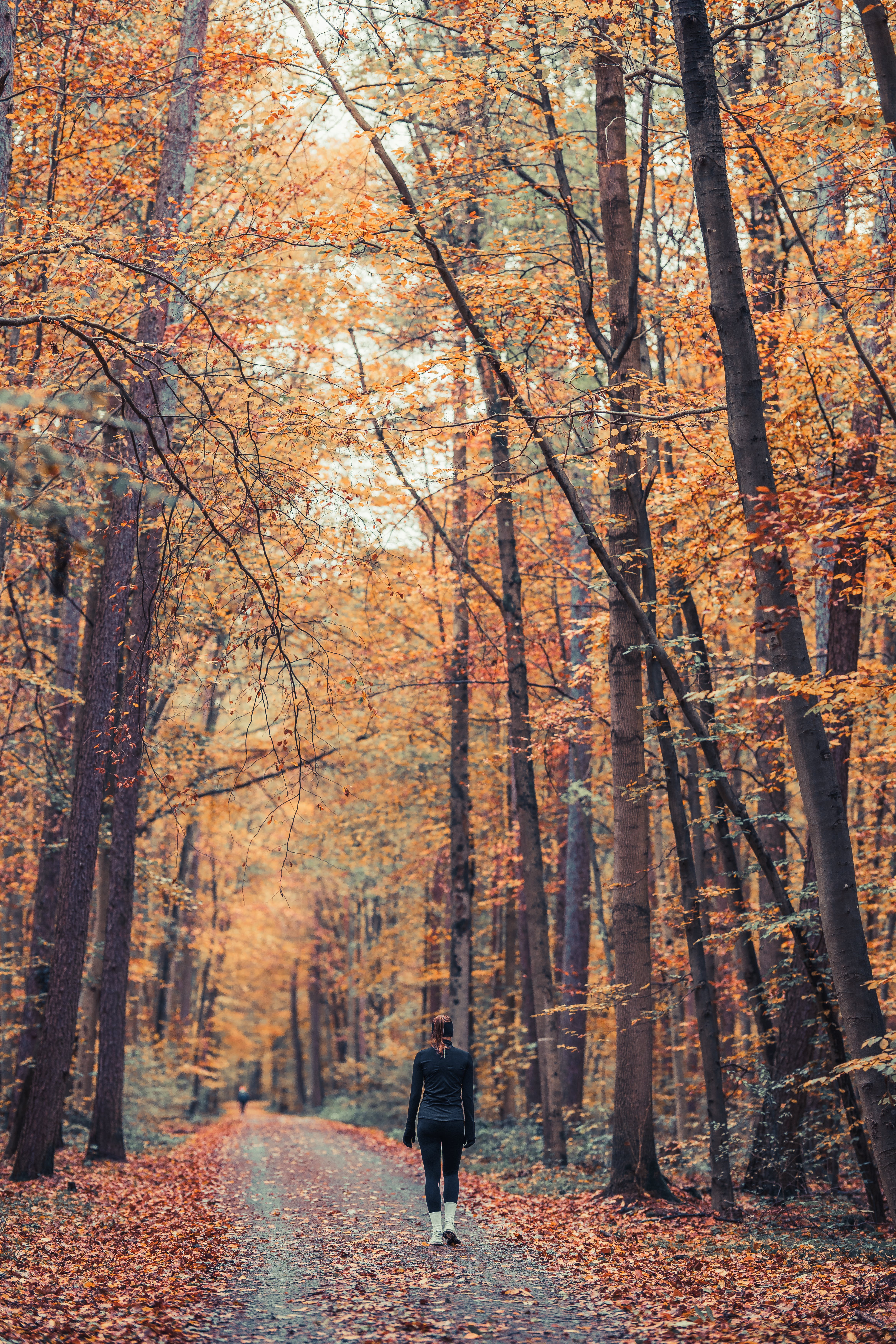Une femme se promenant dans le parc | Source : Pexels