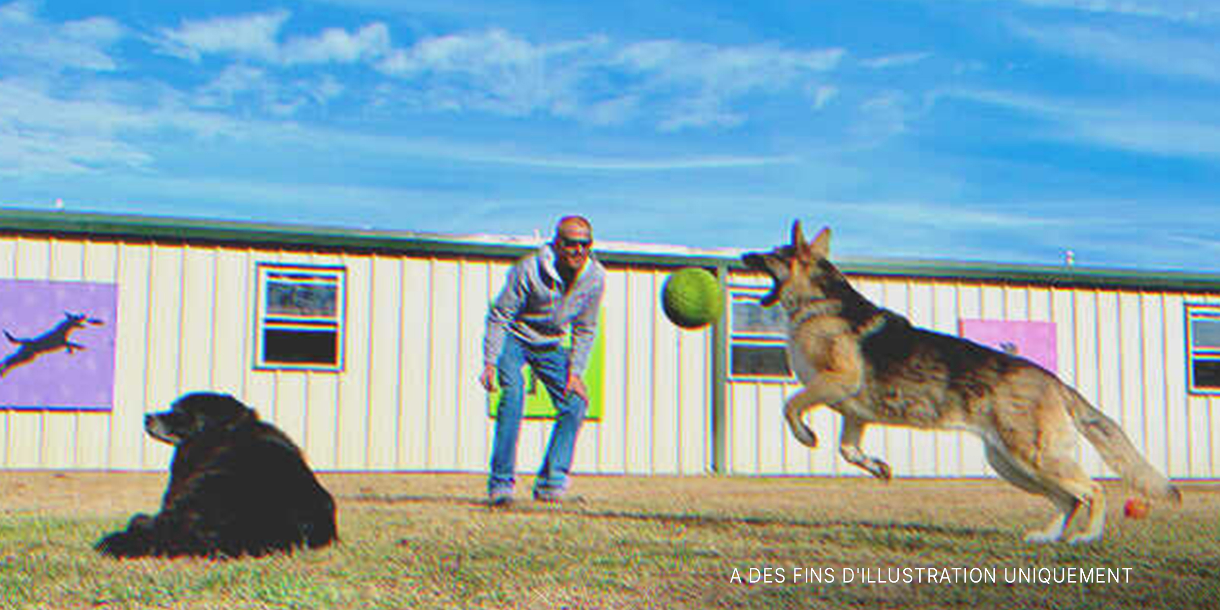 Un homme jouant avec des chiens | Source : Shutterstock