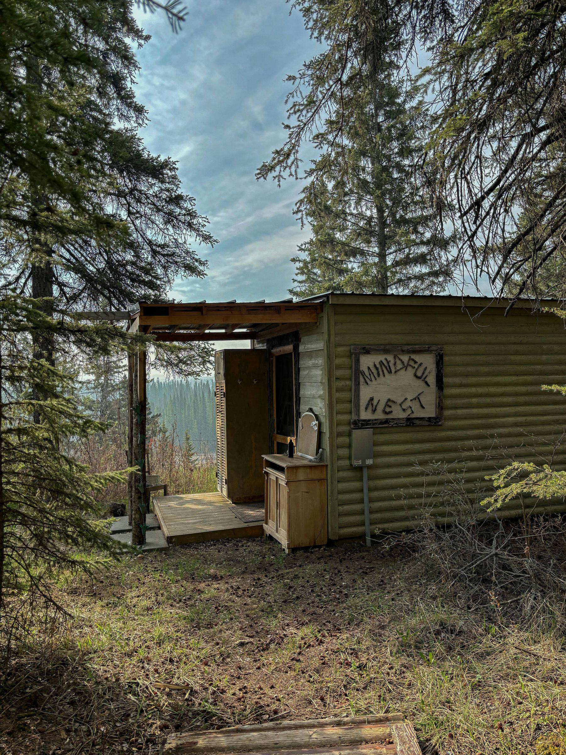 Une cabane dans les bois | Source : Pexels