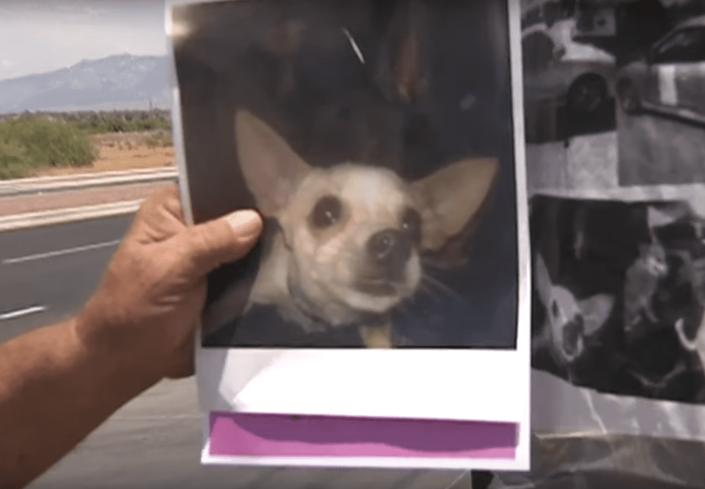 Eddie Collins de Tucson tenant une photo de son chien Jenny. Source: YouTube | News 4 Tucson KVOA-TV