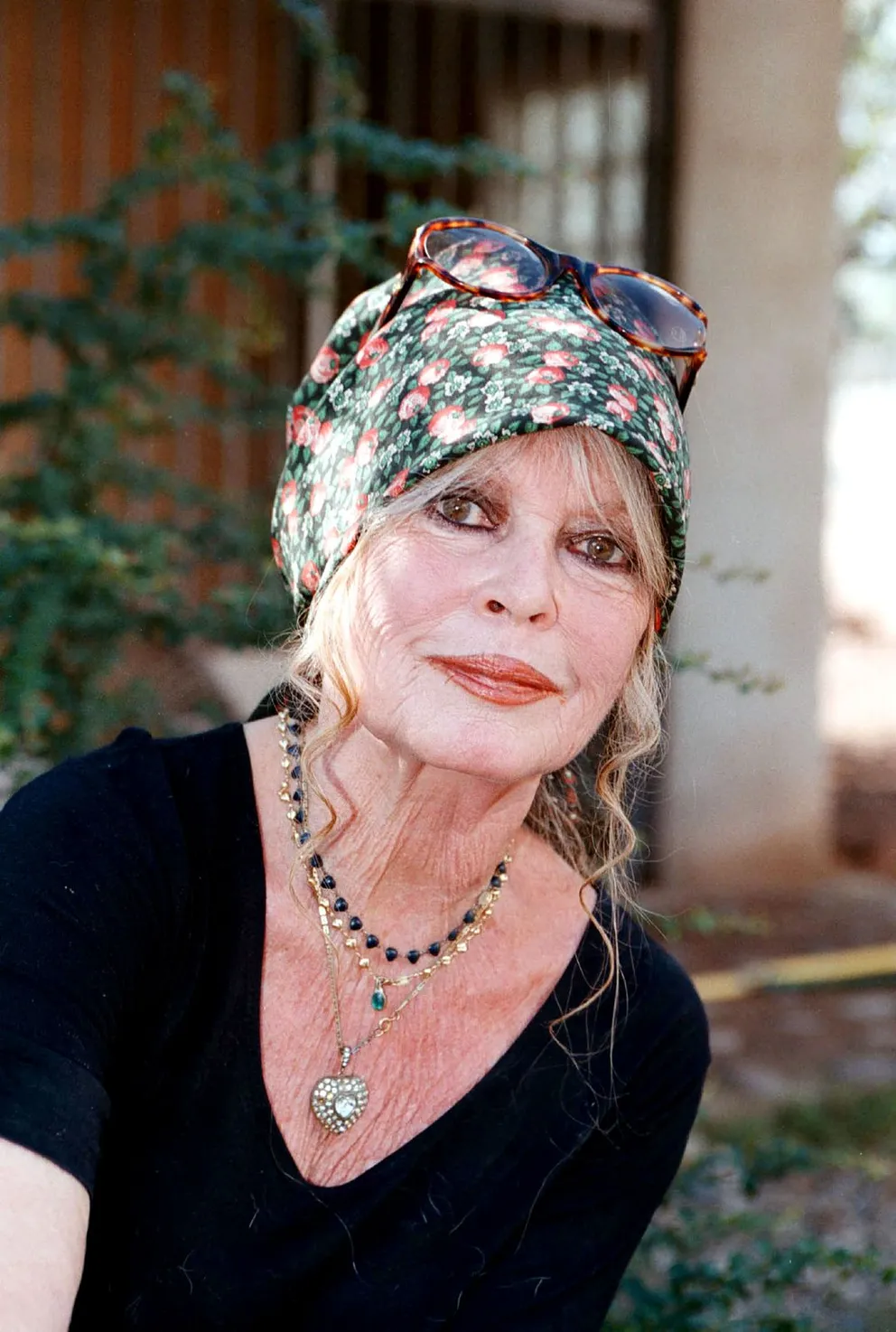 Brigitte Bardot le 7 octobre 2001 dans son refuge pour chiens de Carnoules à Paris. l Source : Getty Images