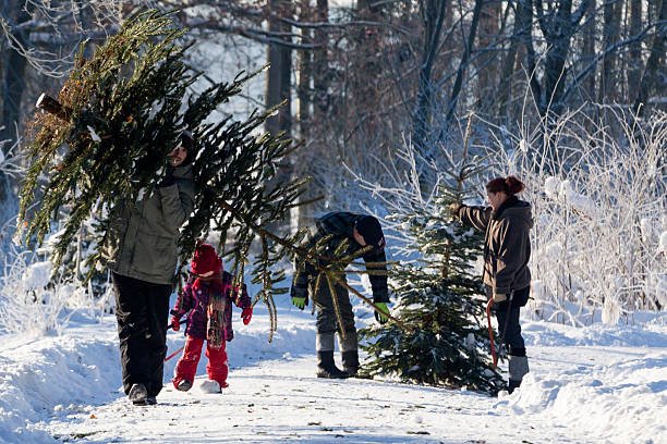 Une Famille choississant  son arbre de Noël | Photo : Getty Image
