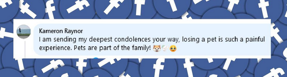 Un fan présente ses condoléances à Meghan Markle et à sa famille | Source : Facebook:/cnn