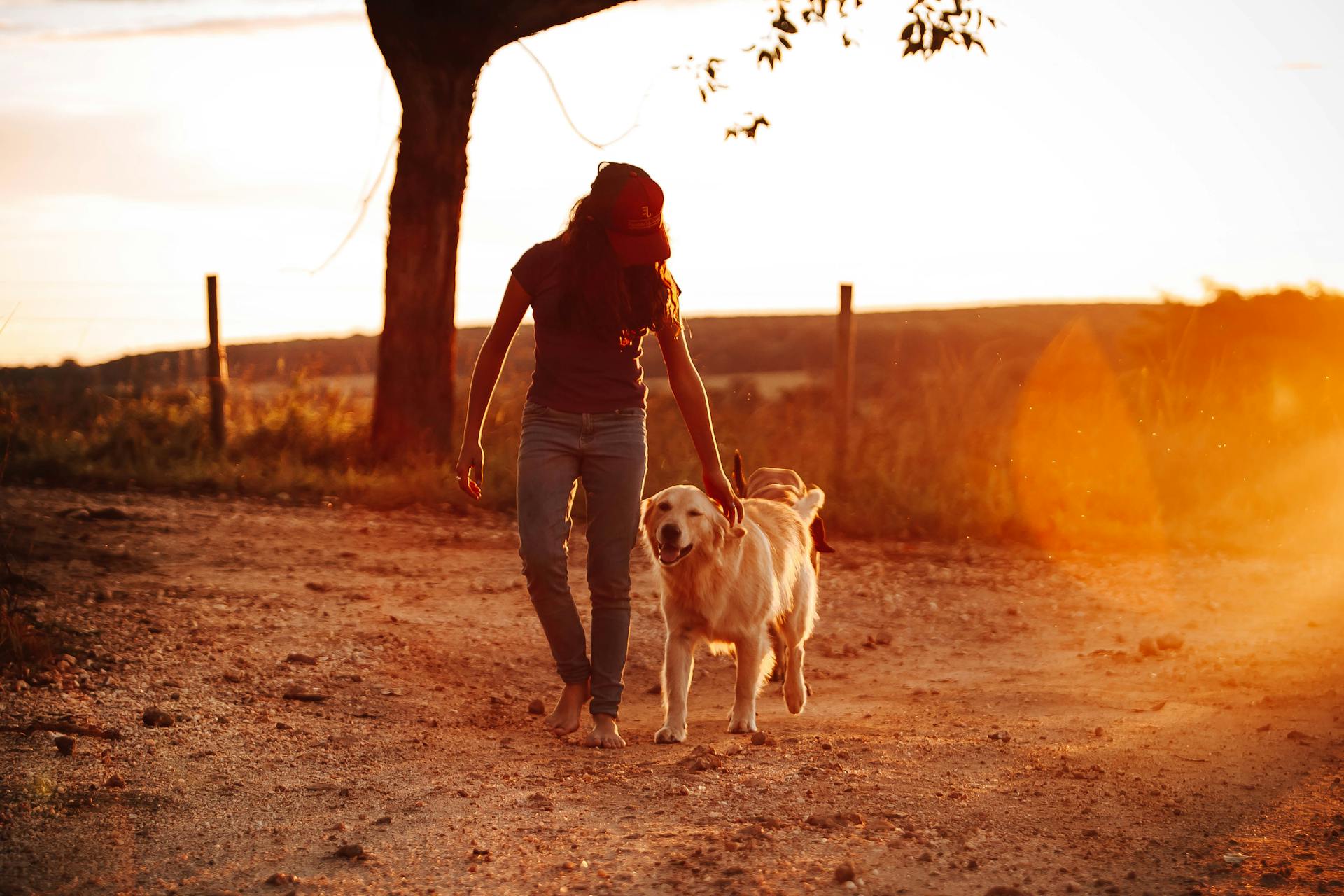 Une femme avec son chien | Source : Pexels