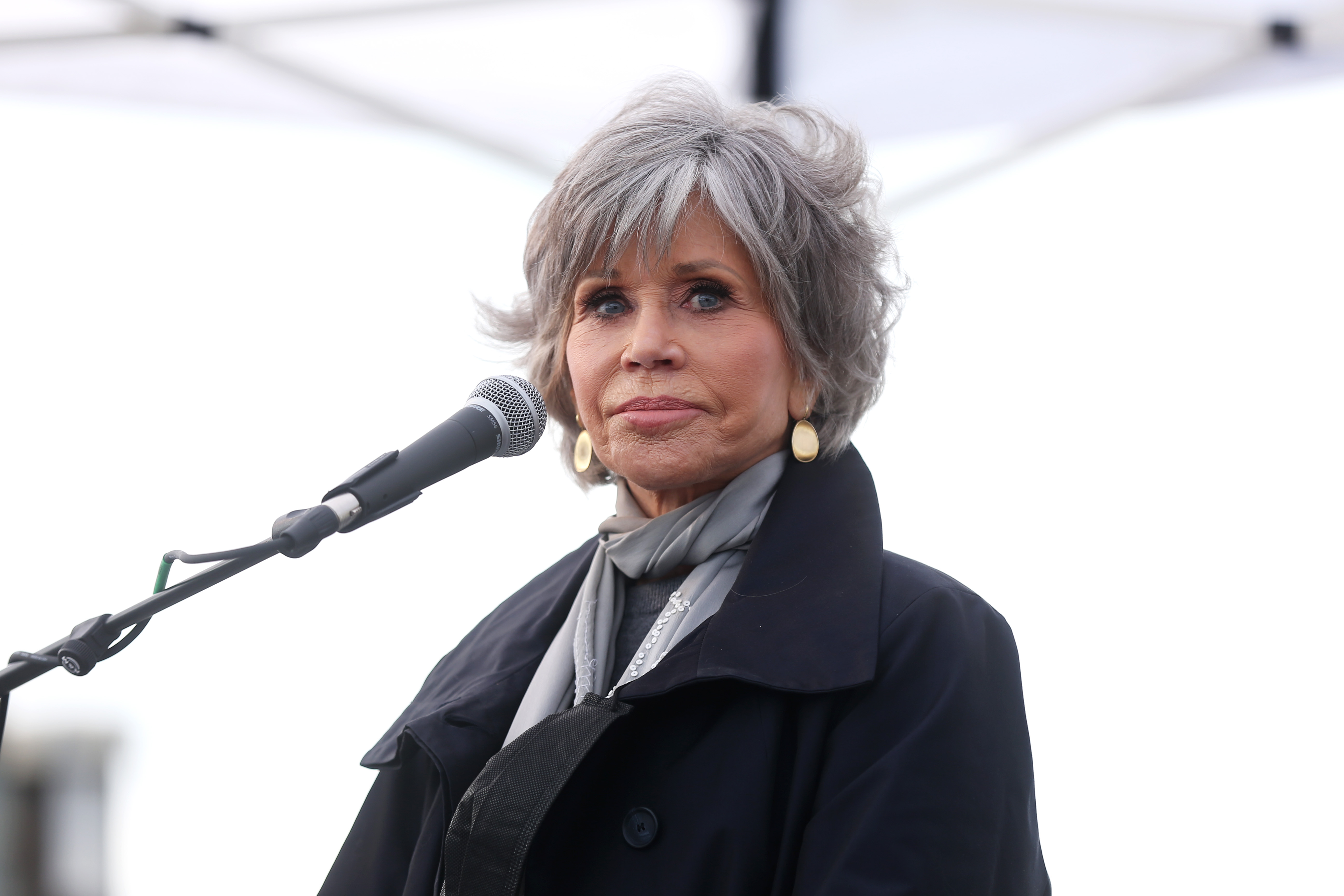 Jane Fonda se joint à la "Compassion sociale dans la législation" le 18 octobre 2021 à Laguna Beach, Californie | Source : Getty Images