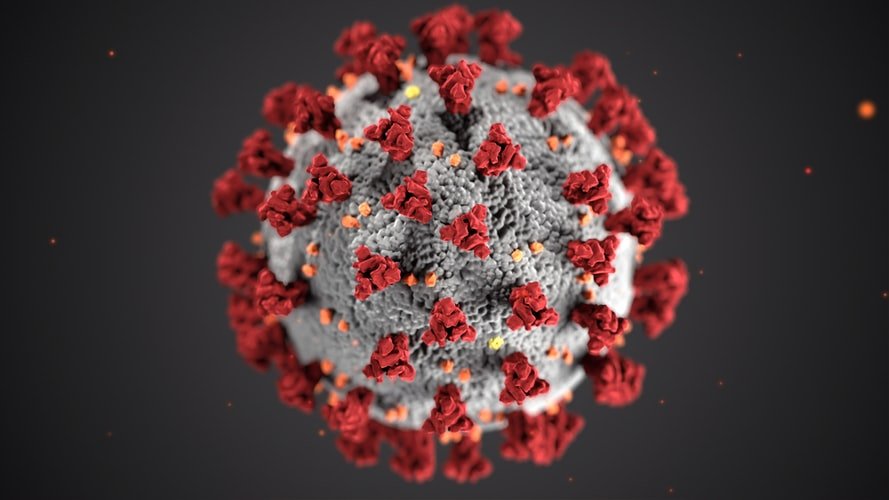 Le coronavirus. | Photo : Unsplash