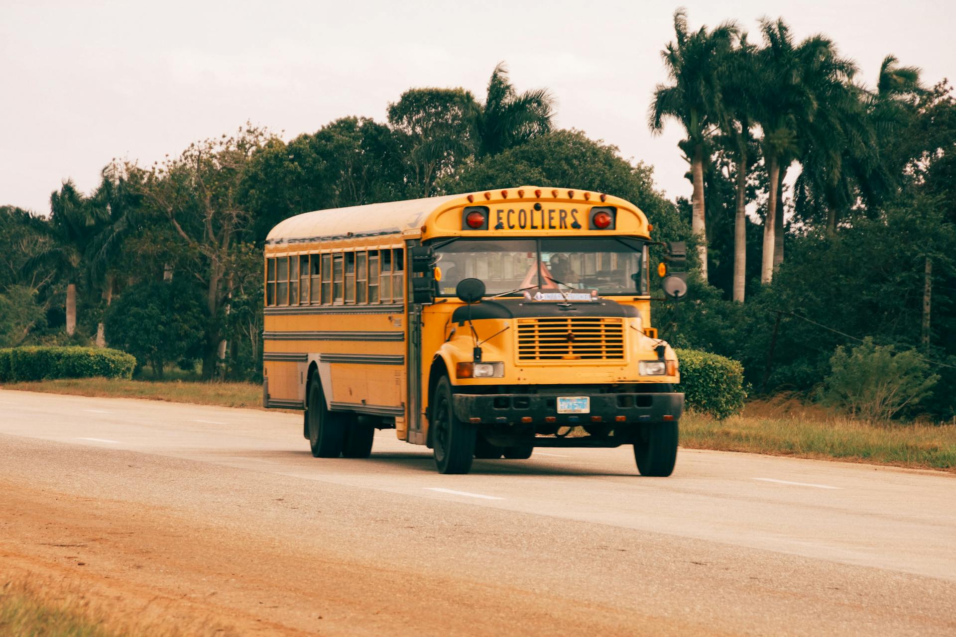 Un bus scolaire | Source : Pexels