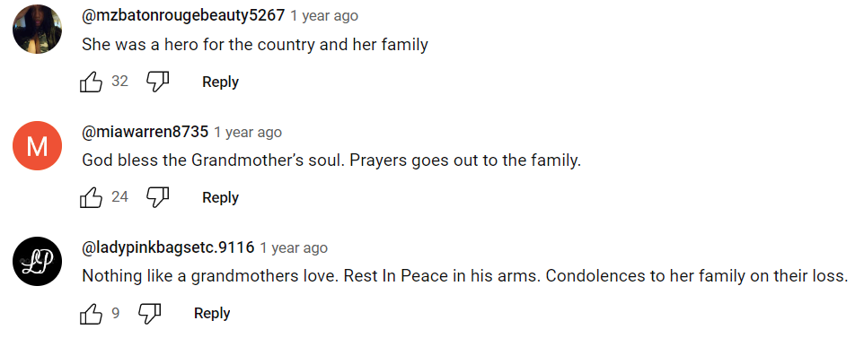 Commentaires sur Jean Skoglund | Source : Youtube.com/Fox 5 Atlanta