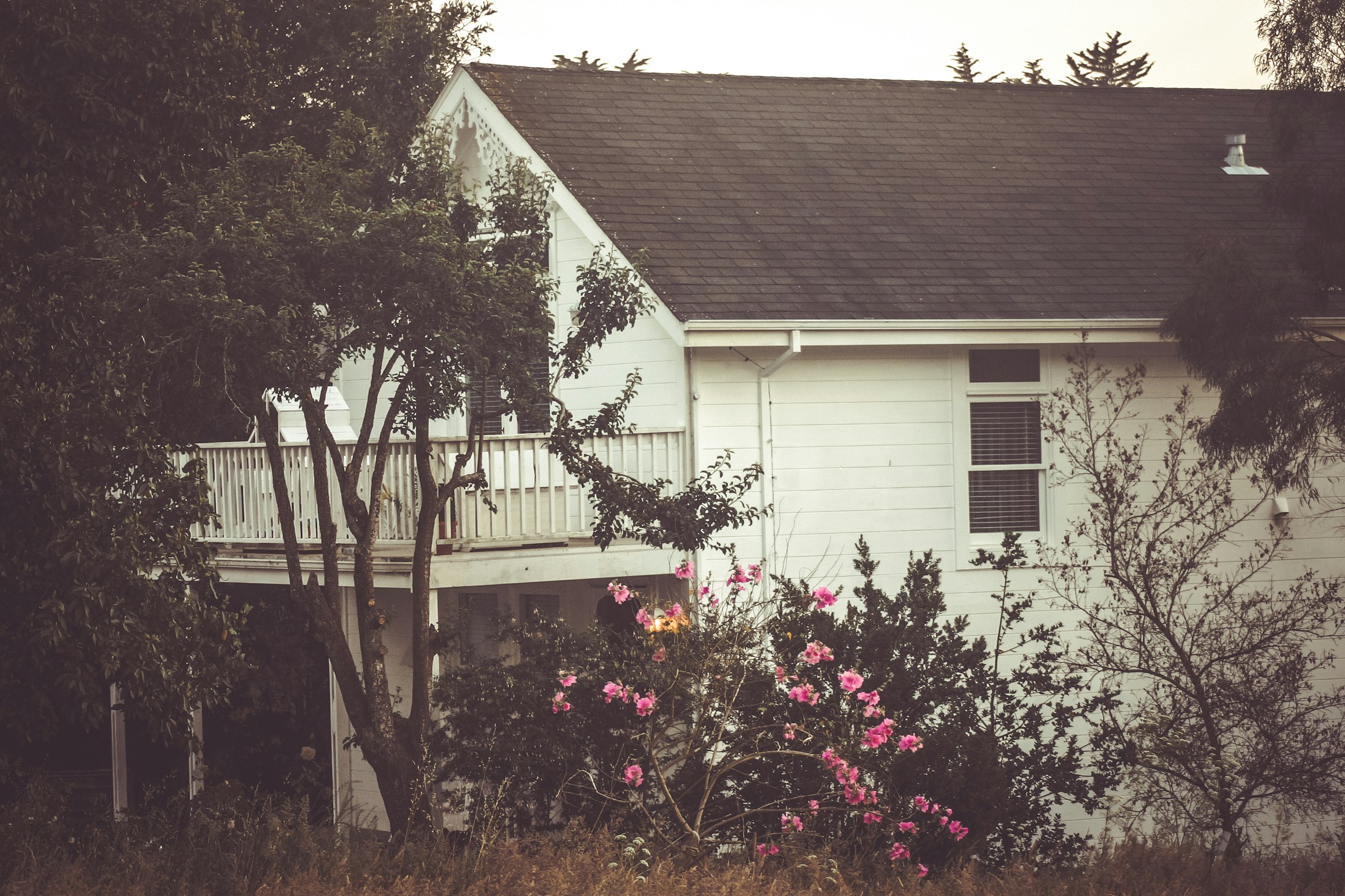 Une maison nichée au milieu de buissons de fleurs et d'arbres | Source : Unsplash