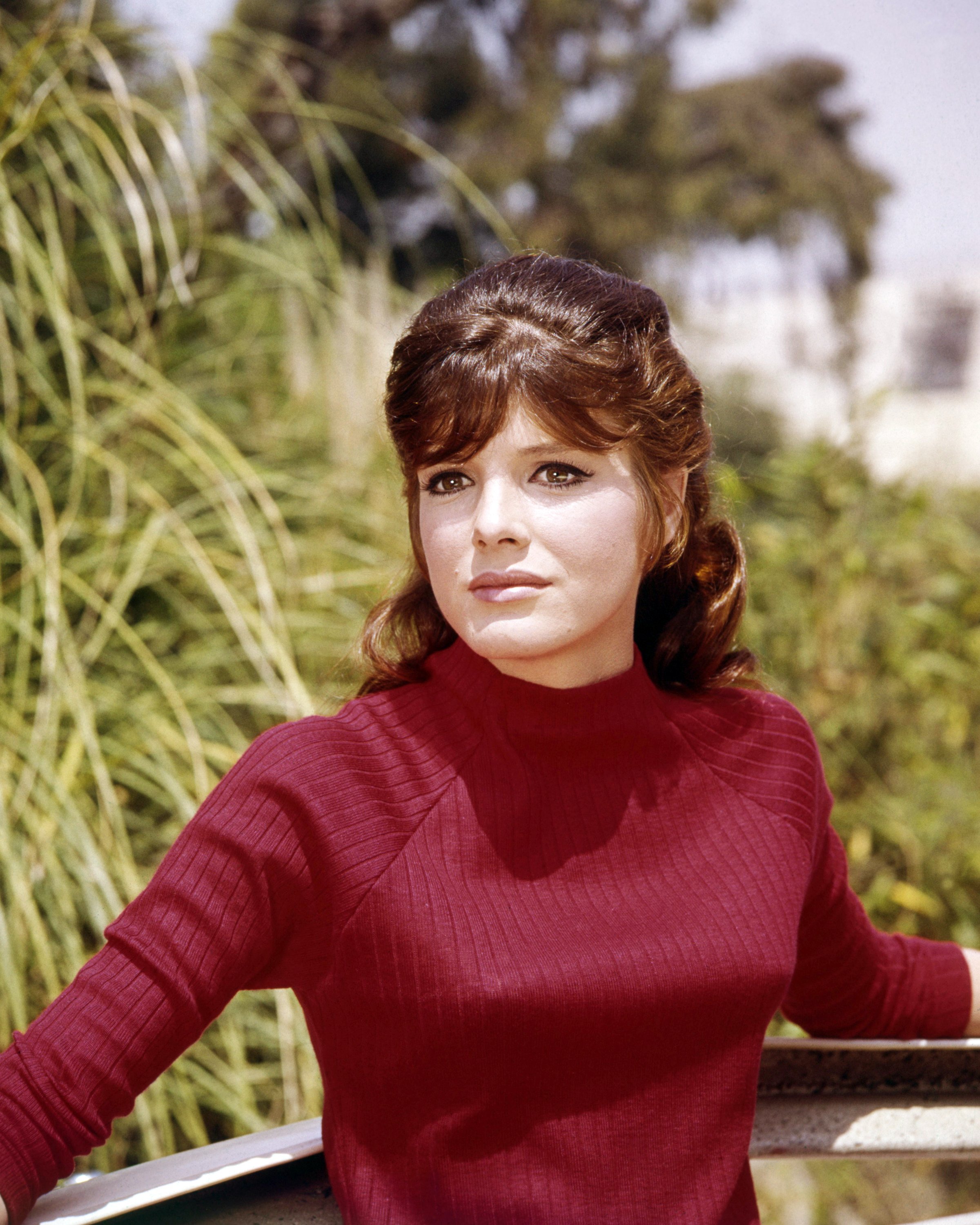 Photo de l'actrice américaine Katharine Ross, vers 1960 | Source : Getty Images