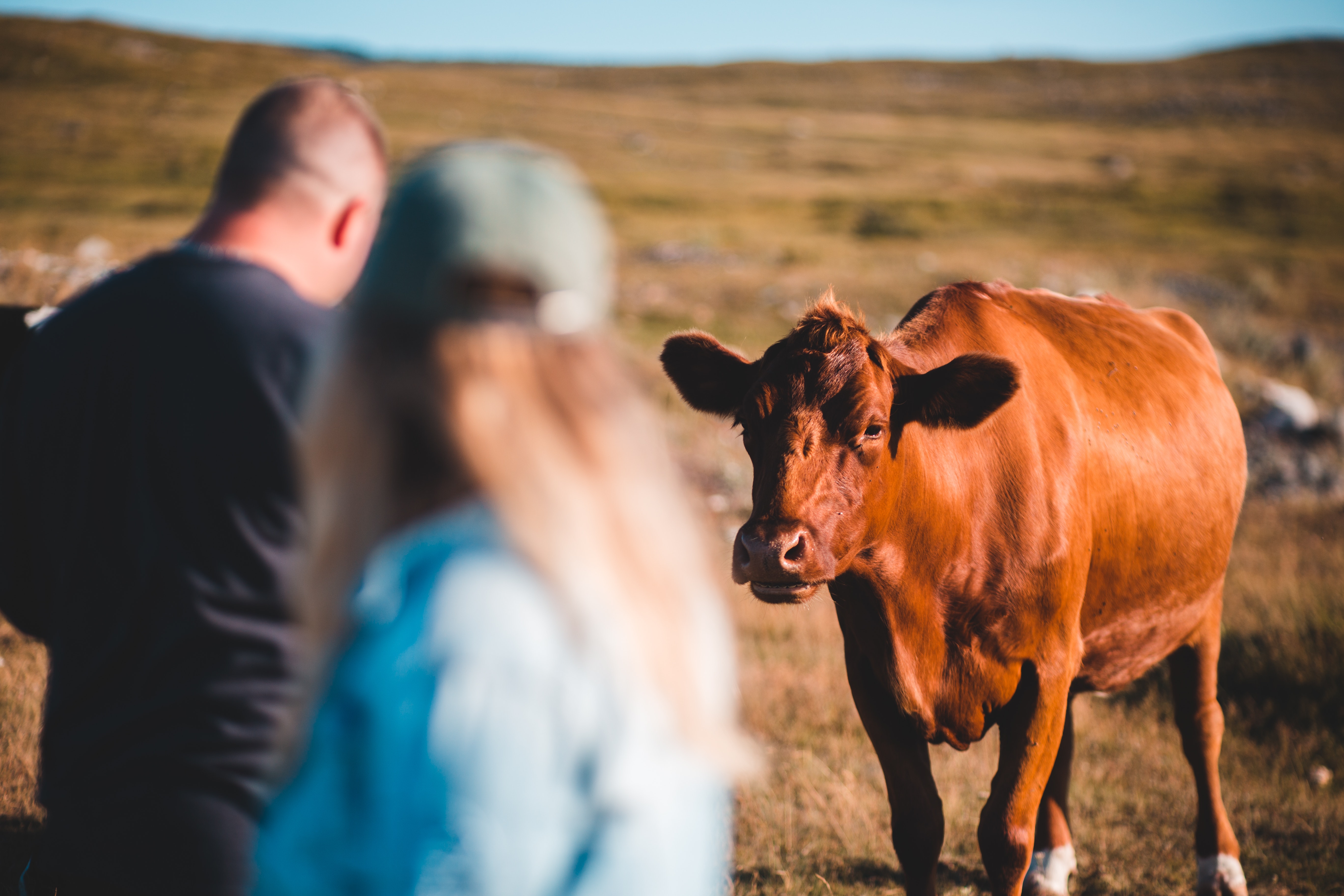 Imagem para fins ilustrativos. | Foto: Pexels