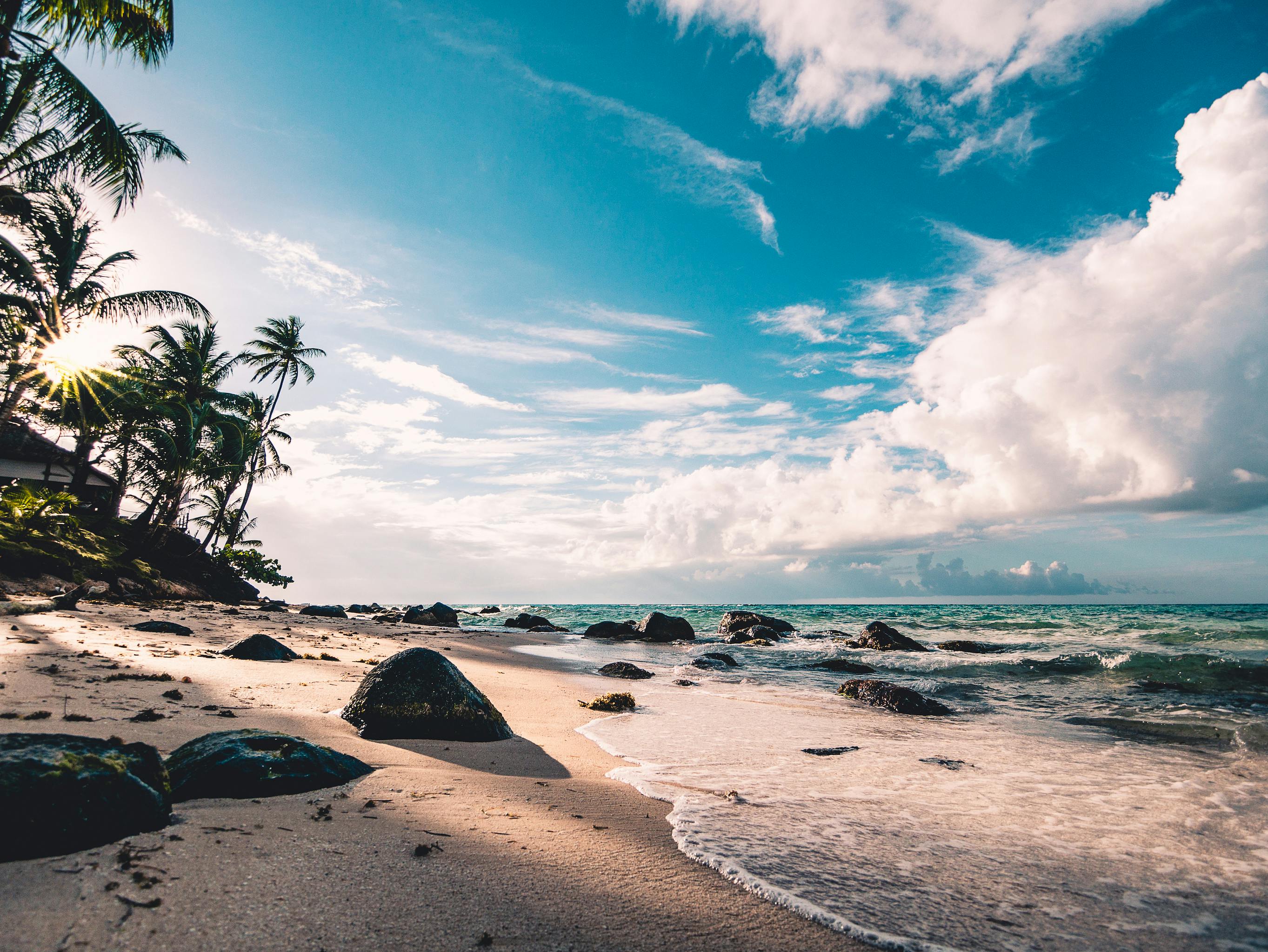 Une plage ensoleillée | Source : Pexels