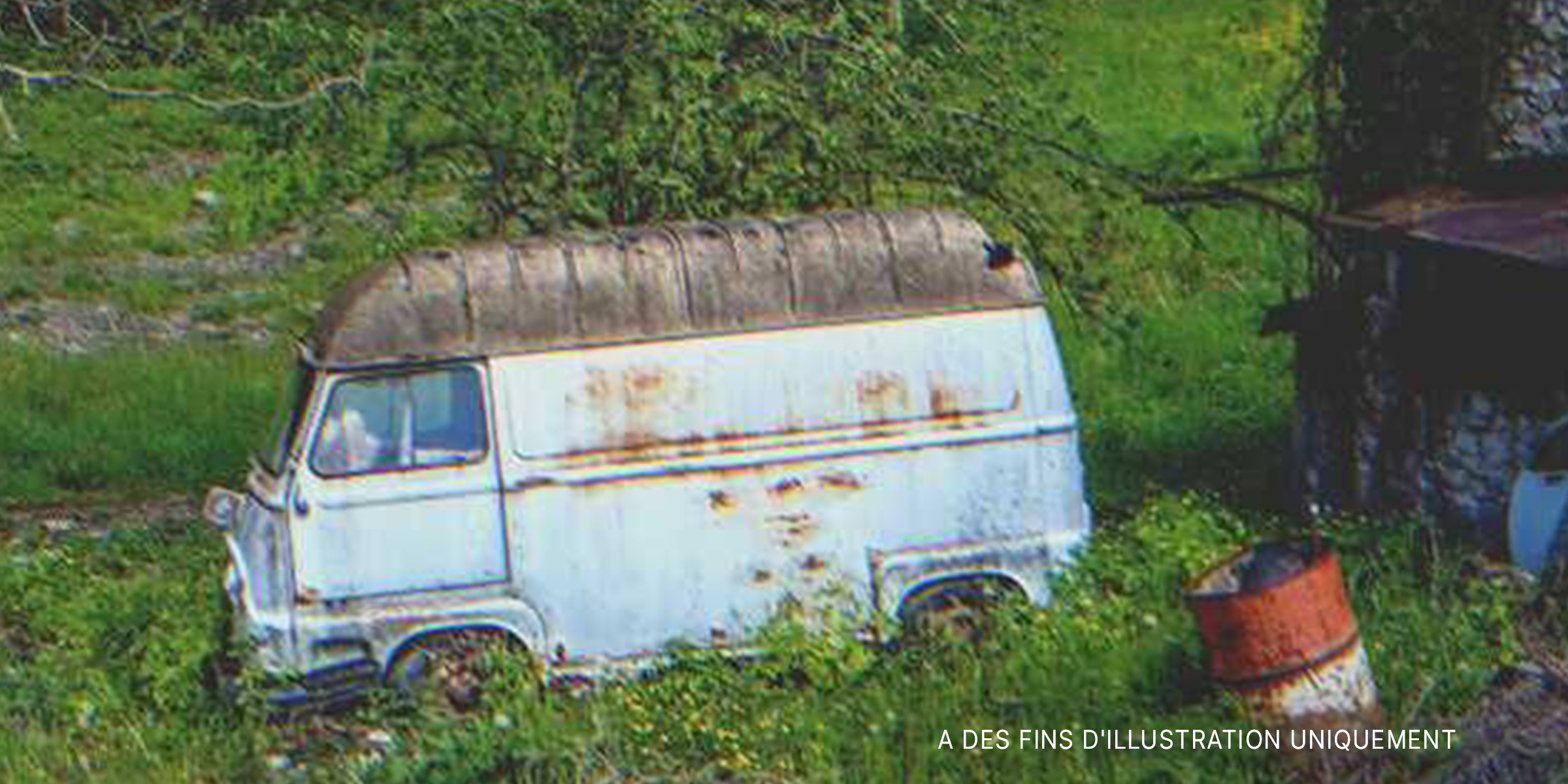 Une camionnette abandonnée sur l'herbe | Source : Shutterstock