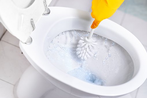 Une main nettoyant  les toilettes | source : Pixabay