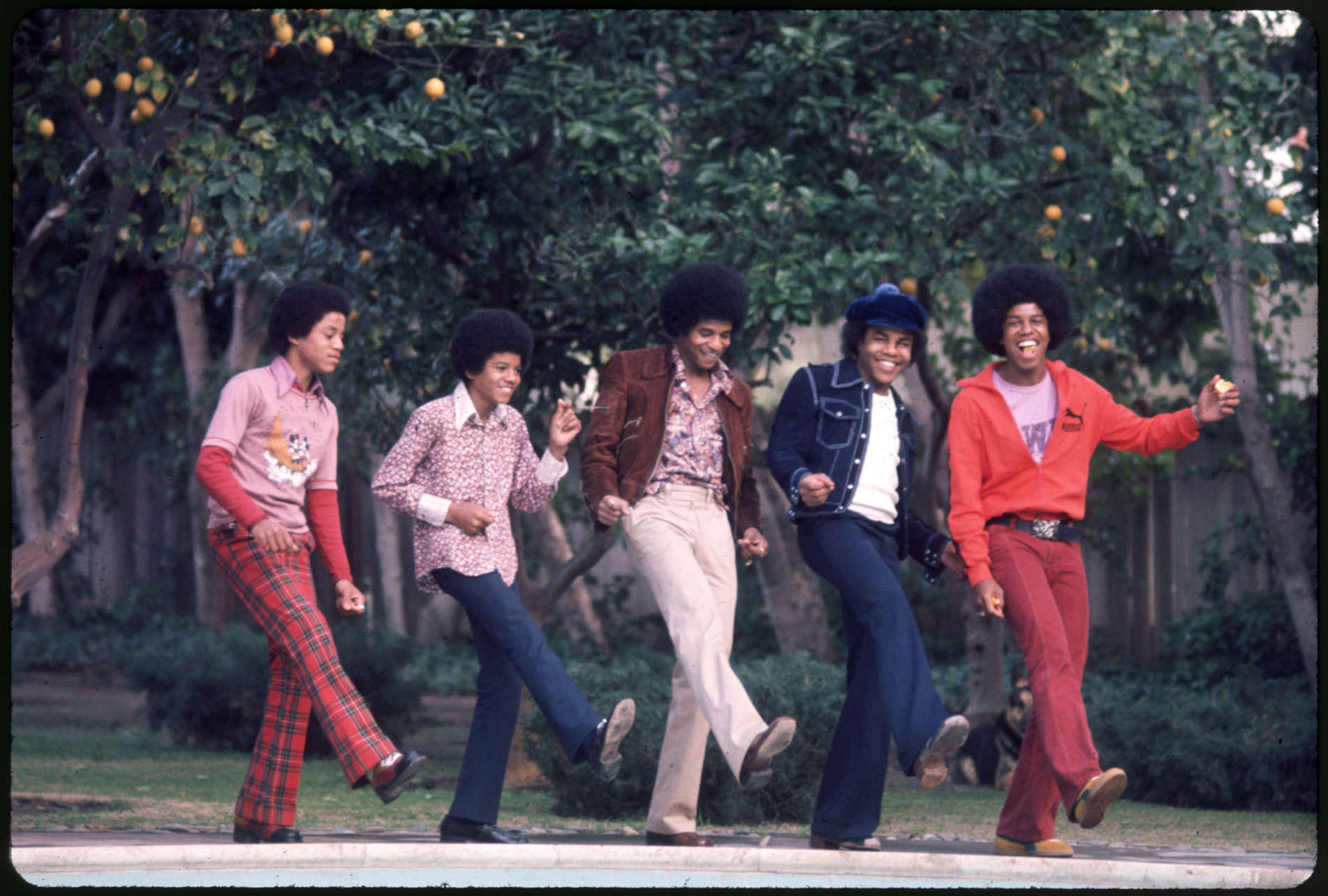 Les Jackson 5 posant pour une photo chez eux à Los Angeles, en Californie, en 1972. | Source : Getty Images