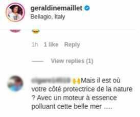 Capture d'écran du commentaire d'un internaute | Photo : Instagram/geraldinemaillet/