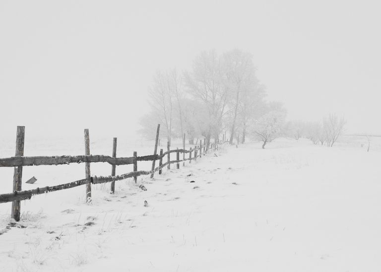 Une tempête de neige s'est abattu sur la ville et la clôture d'Elsa s'est écroulé | Photo : Pexels