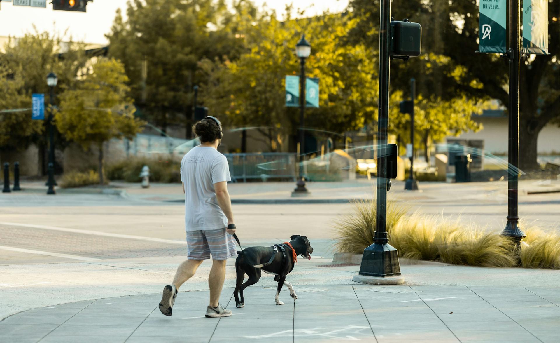 Un homme promenant son chien | Source : Pexels