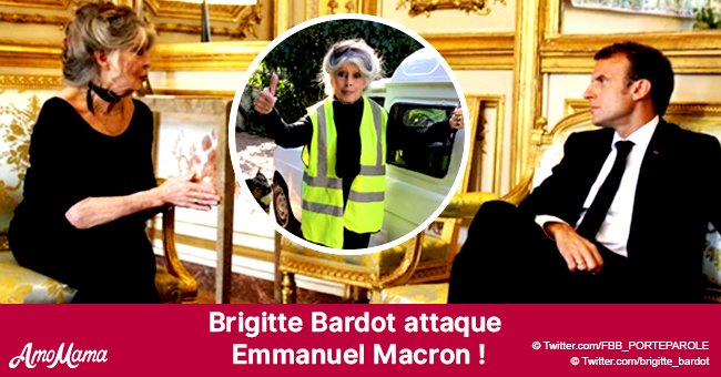 Brigitte Bardot attaque Emmanuel Macron, soulignant le grand manque de sa politique