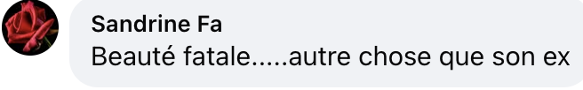 Capture d'écran du commentaire d'un internaute I Source : facebook.com/gala.fr