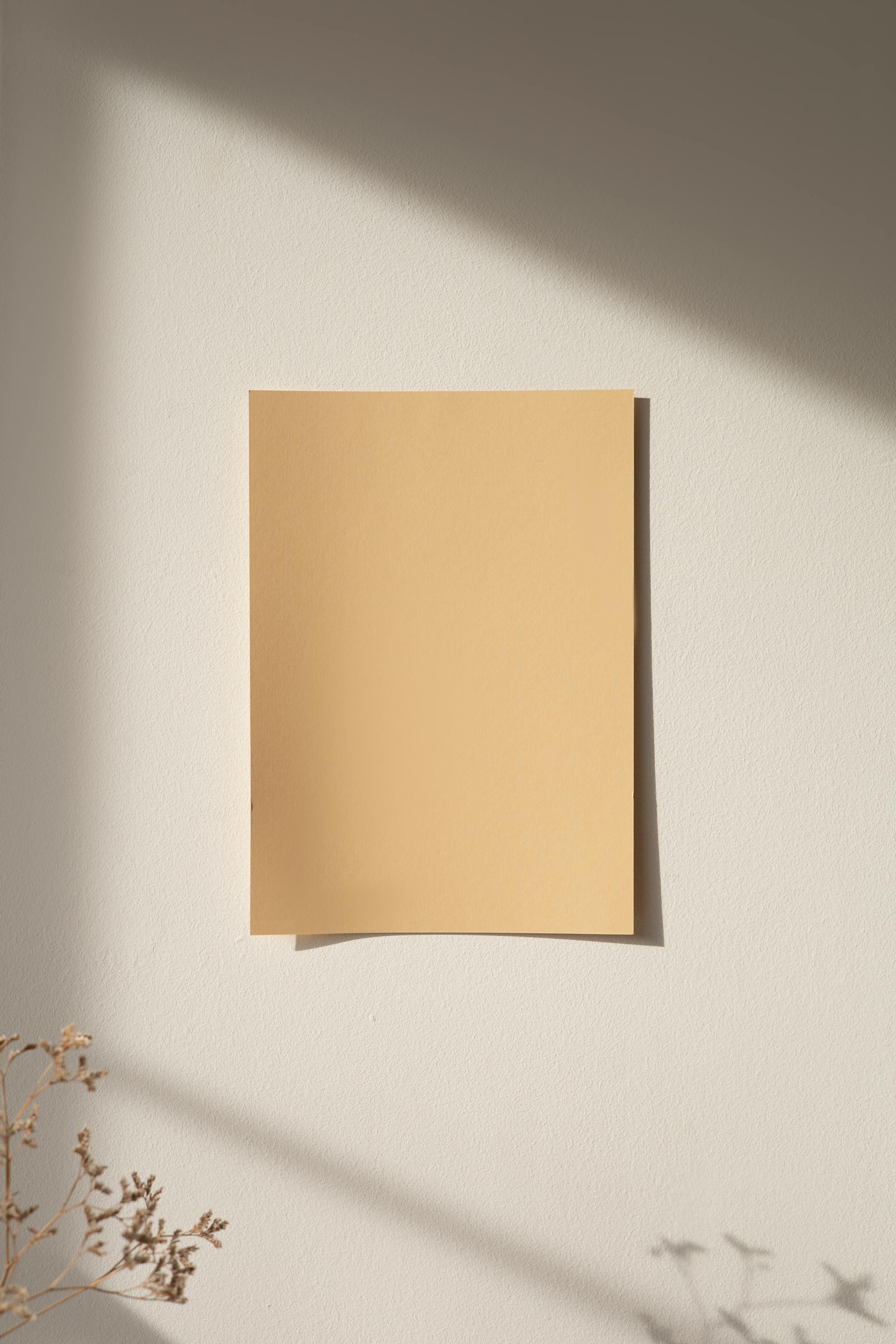 Un morceau de papier | Source : Pexels