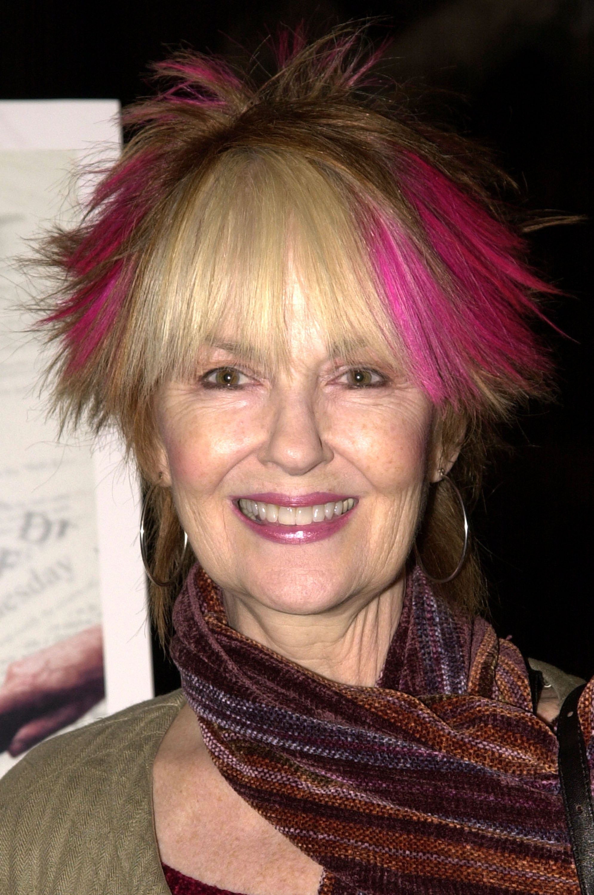 Shelley Fabares lors de la première de « Unprecedented: The 2000 Presidential Election » à la Directors Guild of America à West Hollywood, Californie | Source : Getty Images