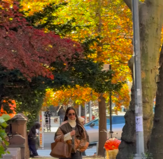 Katie Holmes repérée lors d'une sortie à Brooklyn, New York, posté le 13 novembre 2024 | Source : Instagram/elderordonez1