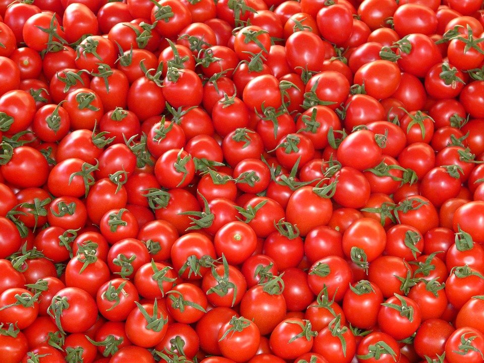 Des tomates. | Photo : Pixabay