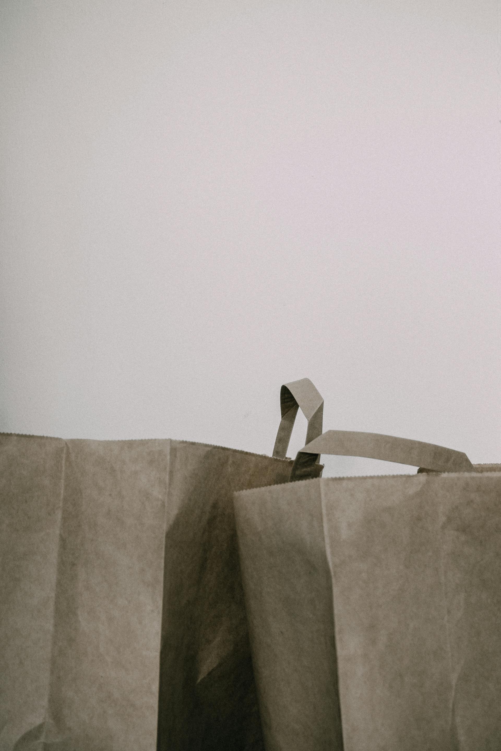 Sacs d'épicerie en papier | Source : Pexels