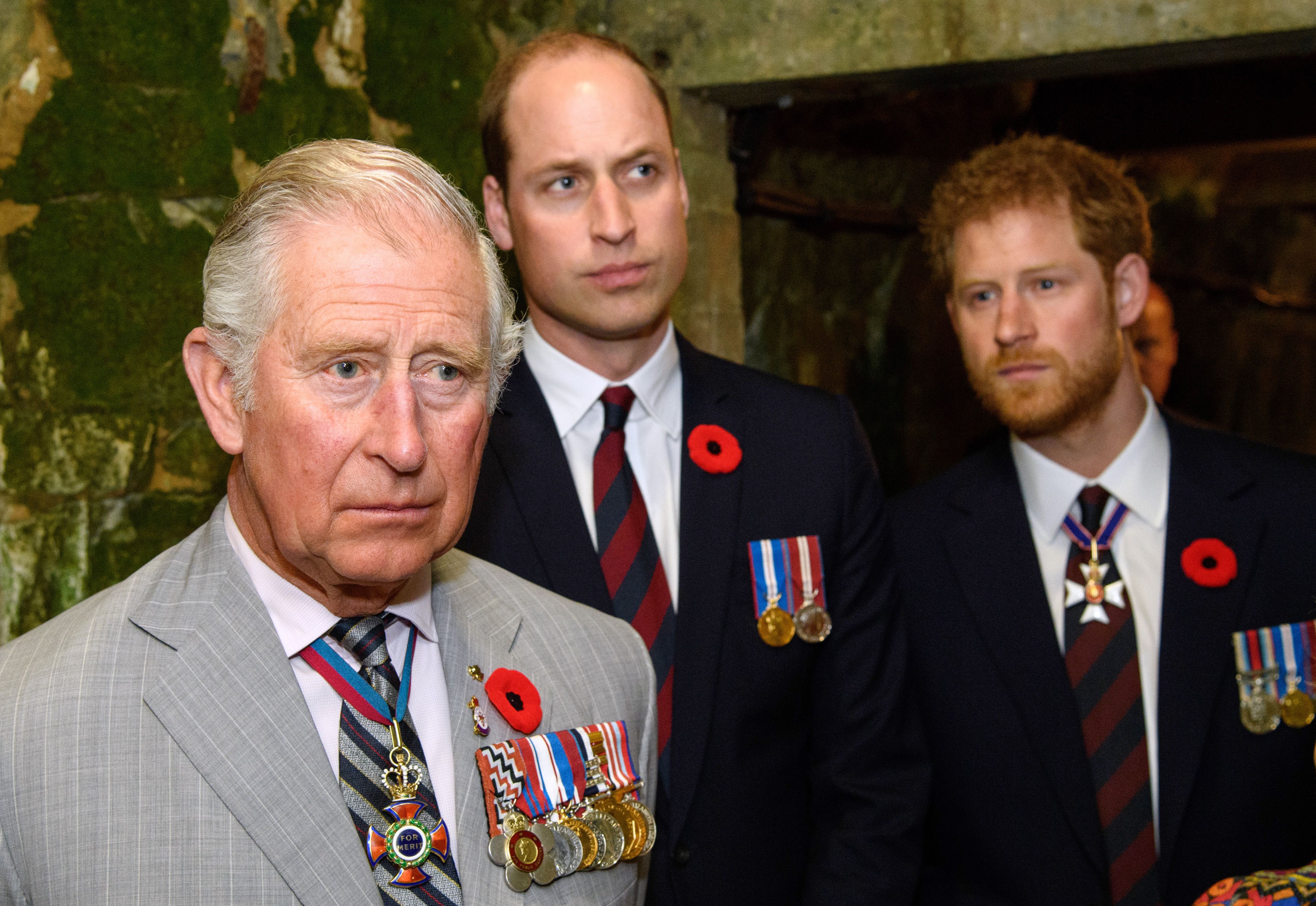 Le roi Charles III, le prince William et le prince Harry visitent le tunnel et les tranchées du parc commémoratif de Vimy lors des commémorations du centenaire de la bataille de la crête de Vimy à Vimy, en France, le 9 avril 2017 | Source : Getty Images