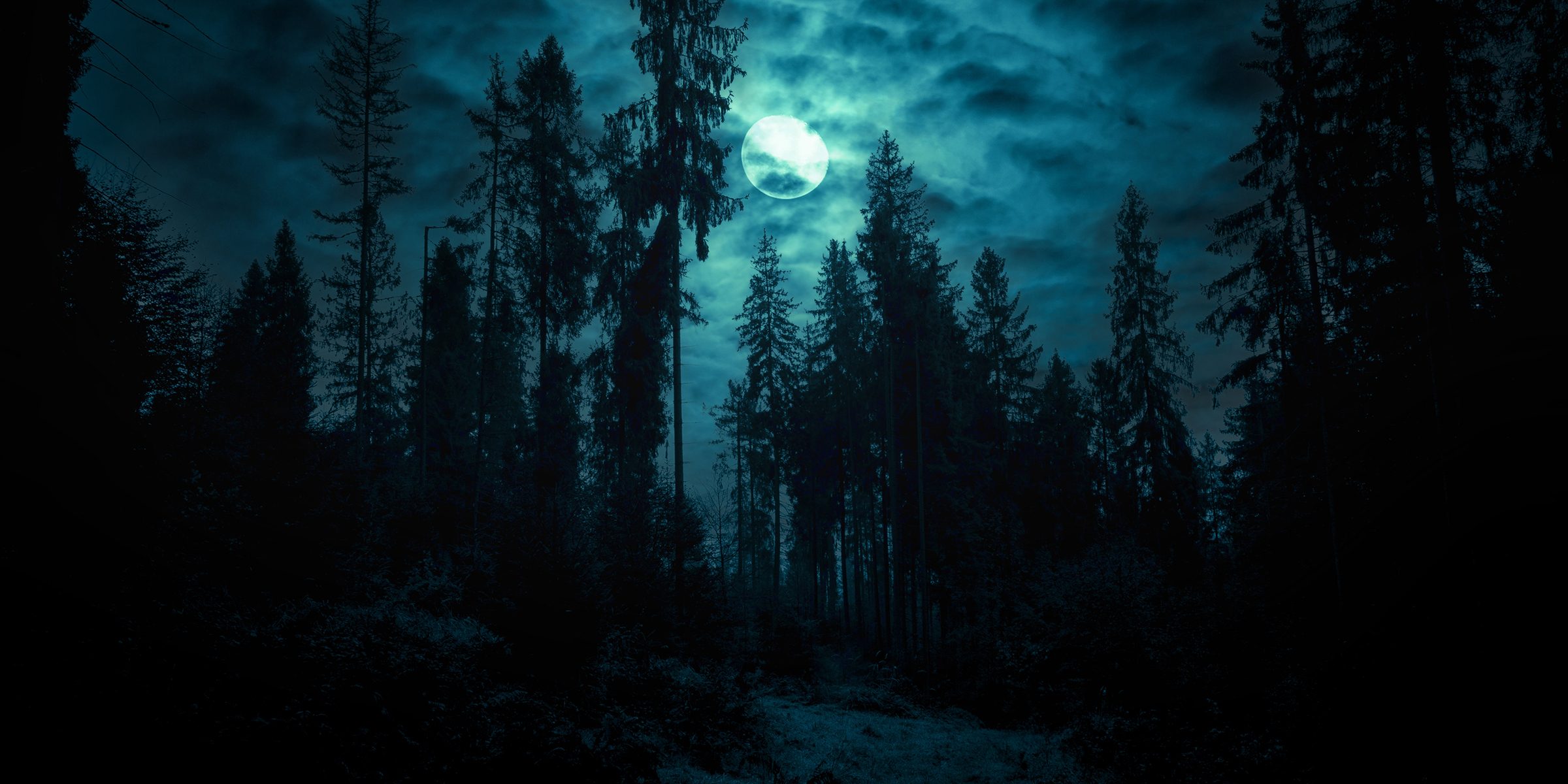 Lever de lune sur des bois hantés | Source : Shutterstock