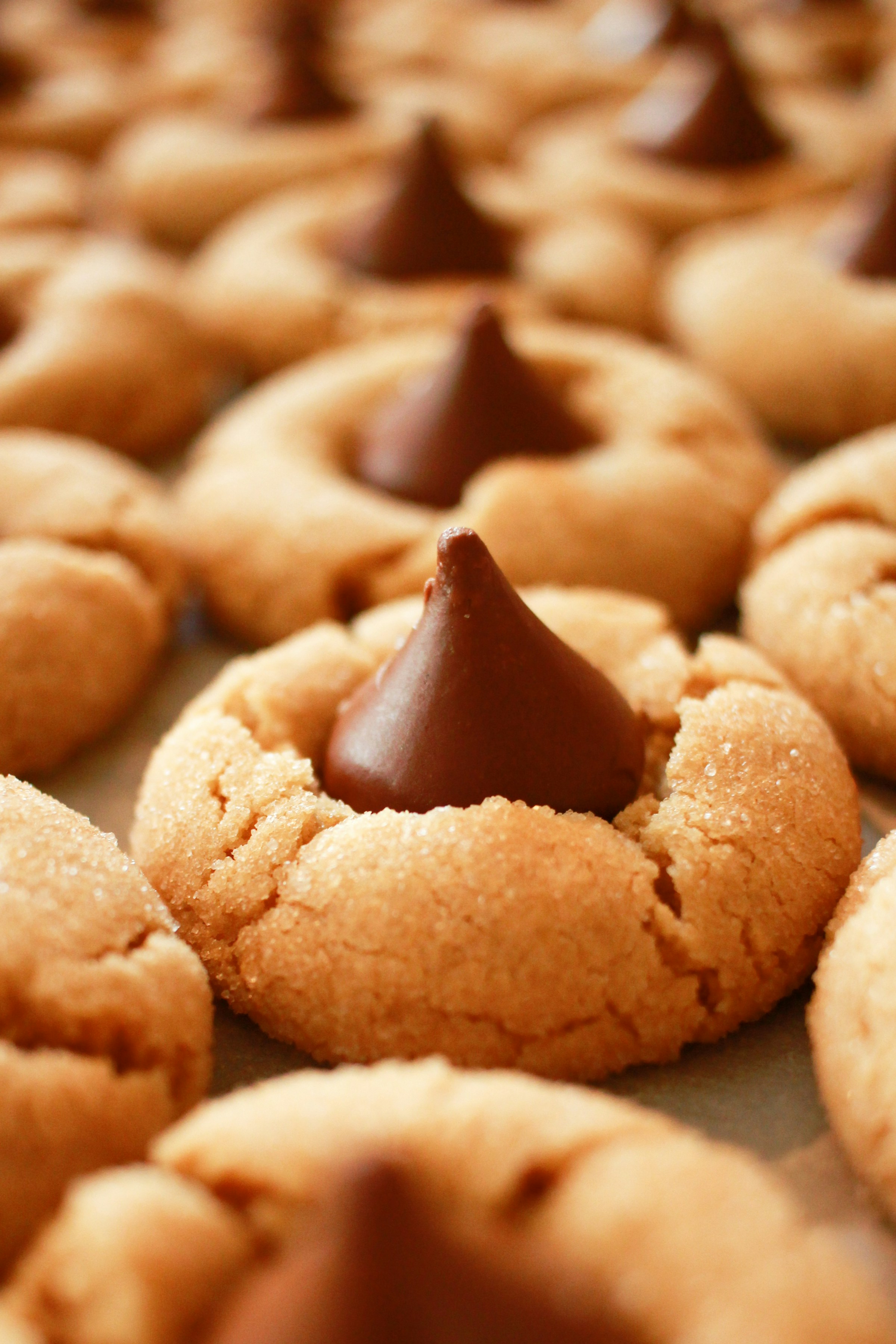 Gros plan sur des biscuits | Source : Unsplash