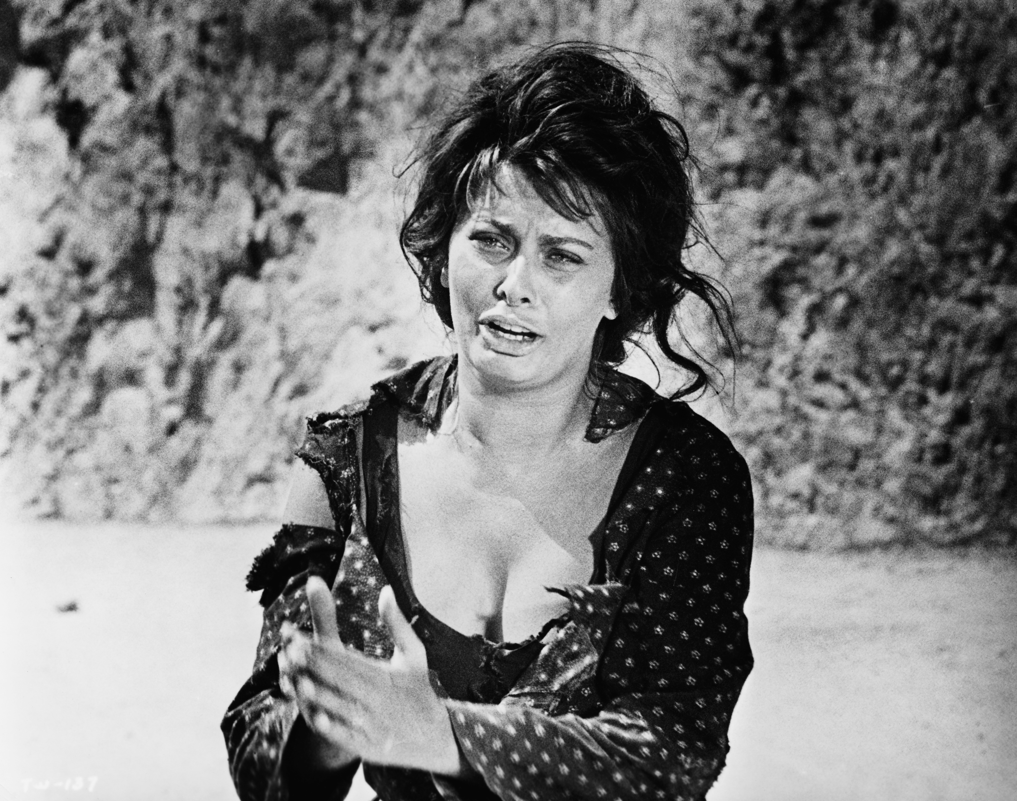 Sophia Loren sur le plateau de tournage de "La Paysanne aux pieds nus" sorti en 1961 | Source : Getty Images