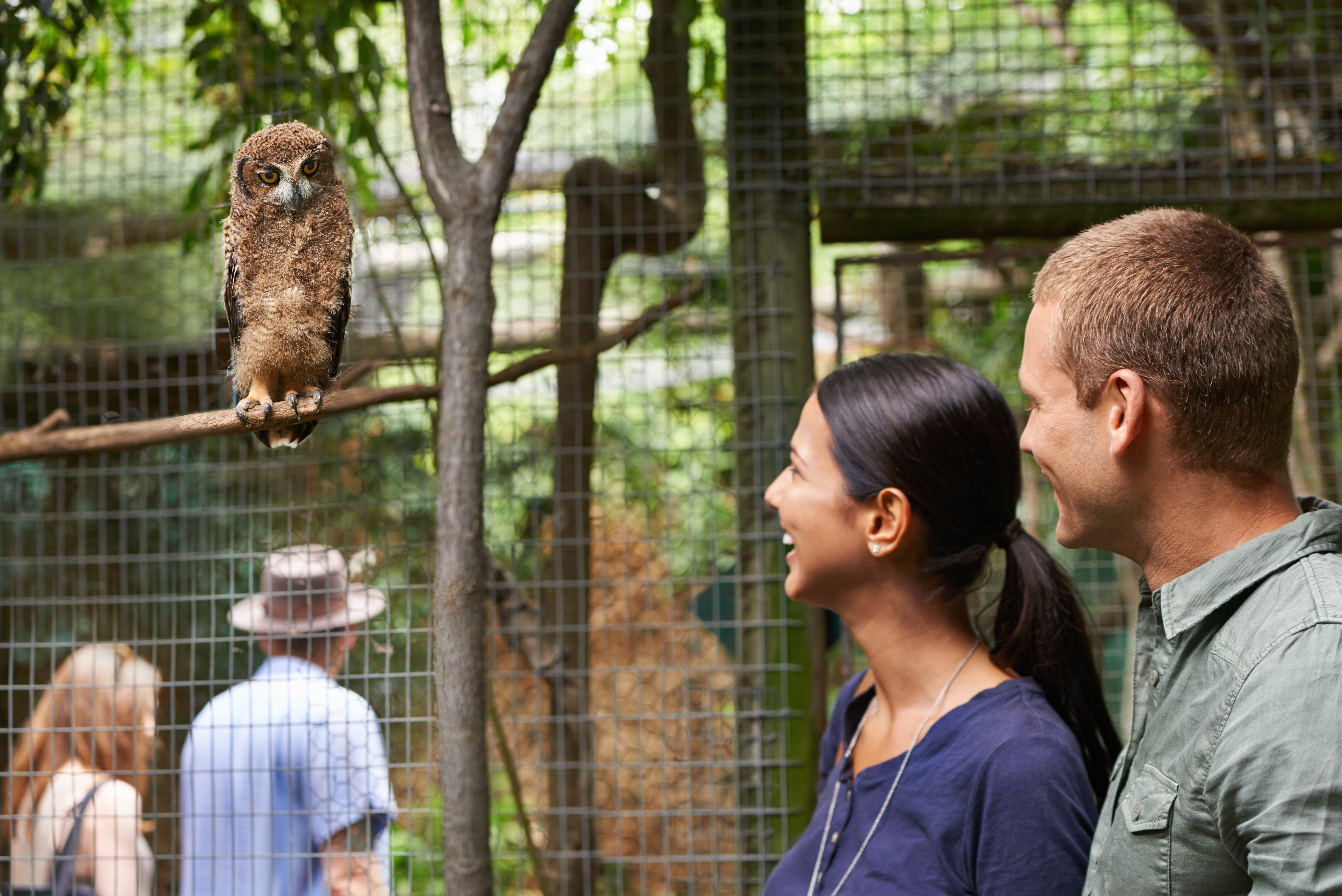 Jeune couple en rendez-vous dans un zoo | Source : Getty Images